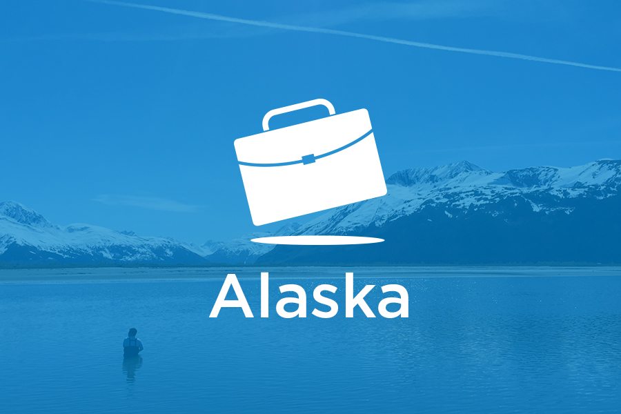 一个手提箱，蓝色背景上写着阿拉斯加。