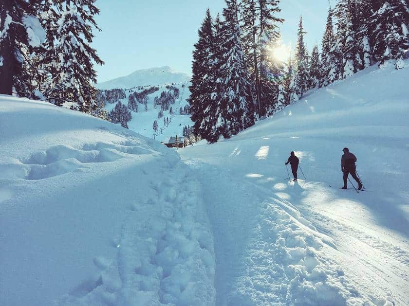 冬天有滑雪者的雪白森林