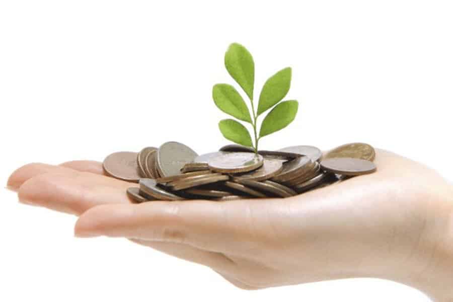 A hand holding a coins and a plant.