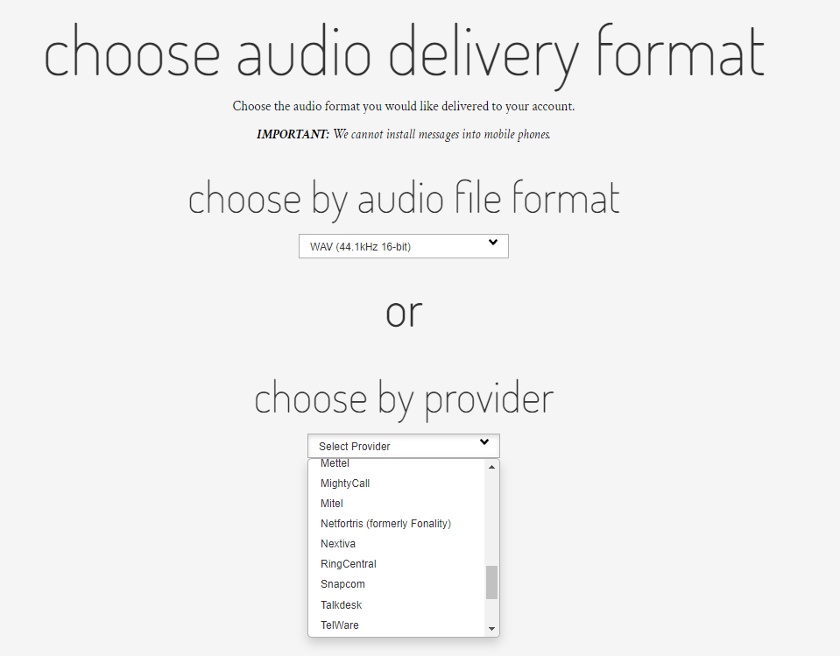 Snap Recordings音频文件格式选项。