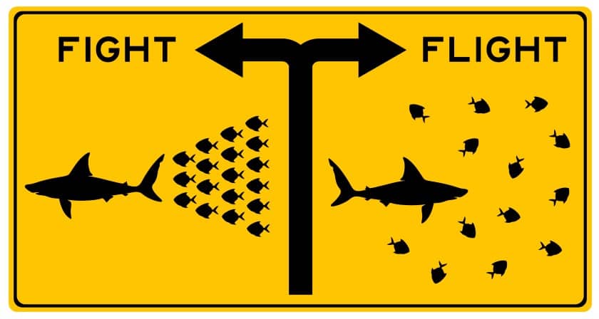 战斗或飞行图形与鲨鱼和鱼群在黄色背景。