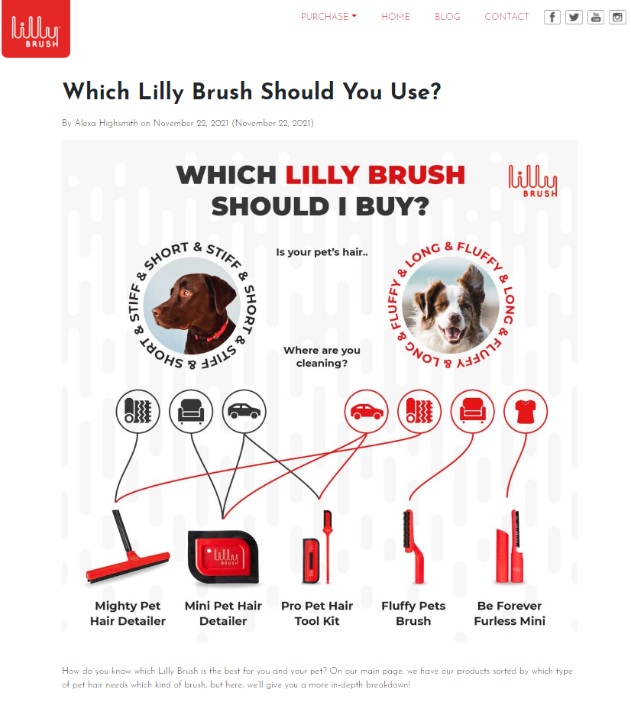 博客帖子example_from lily_ Brush。
