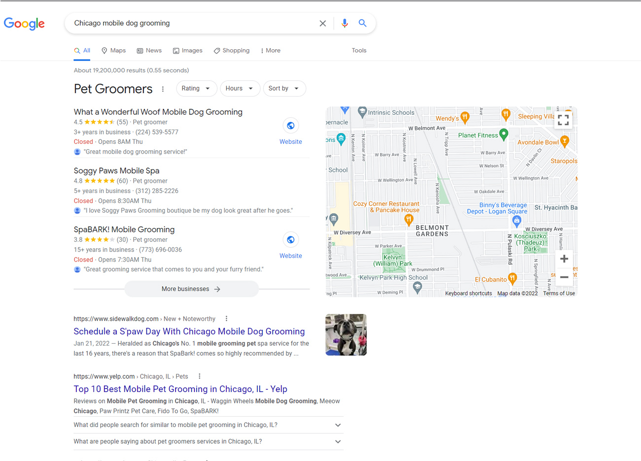 谷歌顶部的SERPs搜索结果芝加哥移动狗梳理。