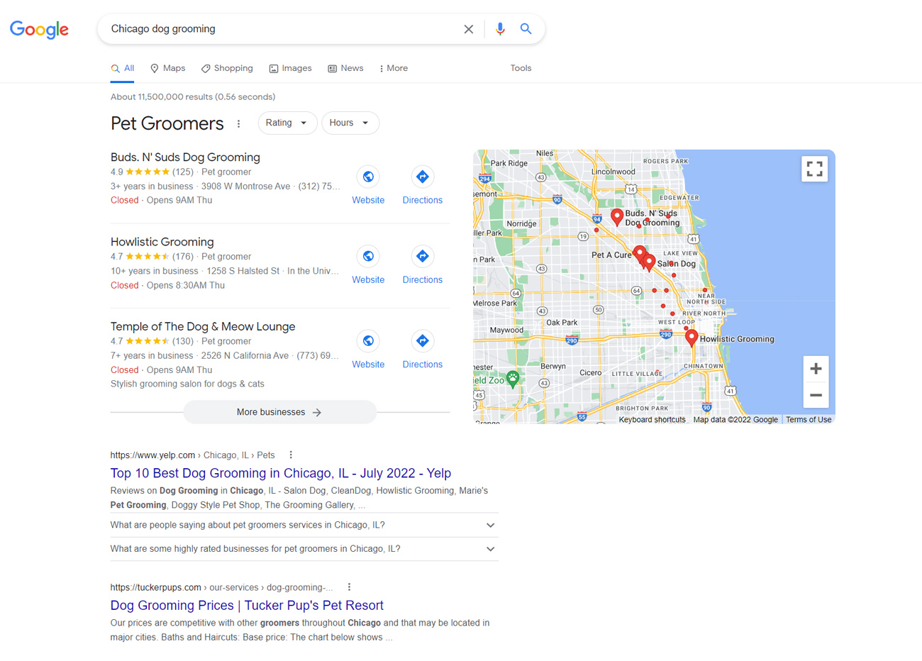 谷歌顶级SERPs搜索结果芝加哥狗舍。