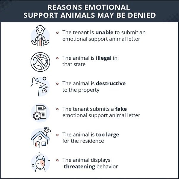 情感支持动物可能会被拒绝。