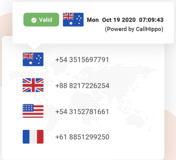 CallHippo样本全球连接号码。