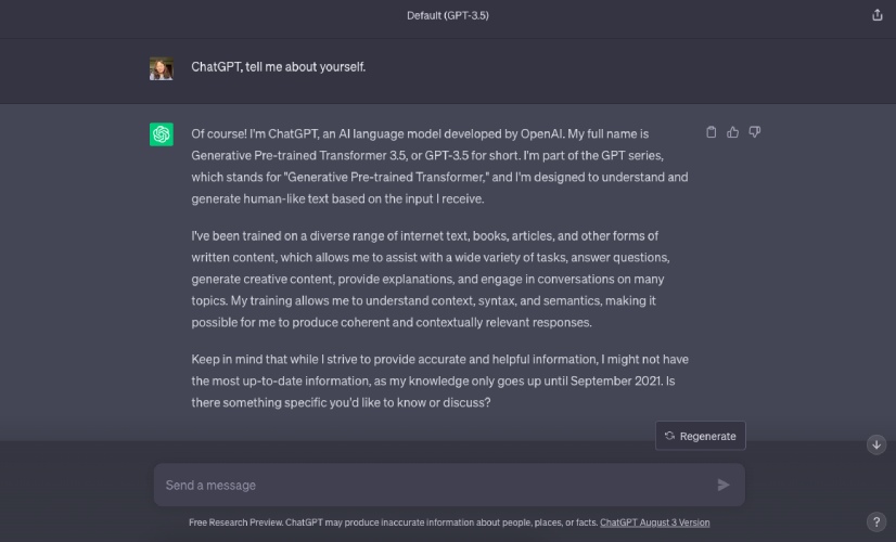 年代creenshot of ChatGPT answering a prompt to describe itself.