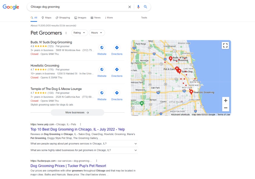 来p SERPs for “chicago dog grooming” in an incognito Google search.